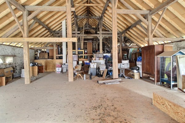 Grande maison en viager semi-occupé sans rente avec grand potentiel 12