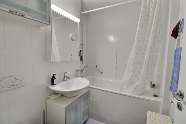 Magnifique attique en viager occupé sans rente 11