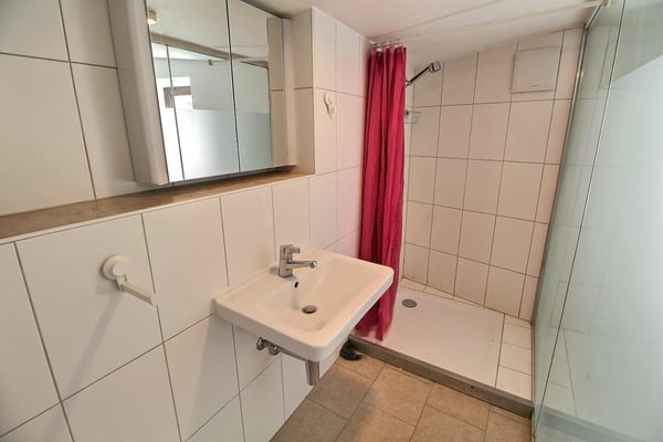 Grande maison en viager semi-occupé sans rente avec grand potentiel 13