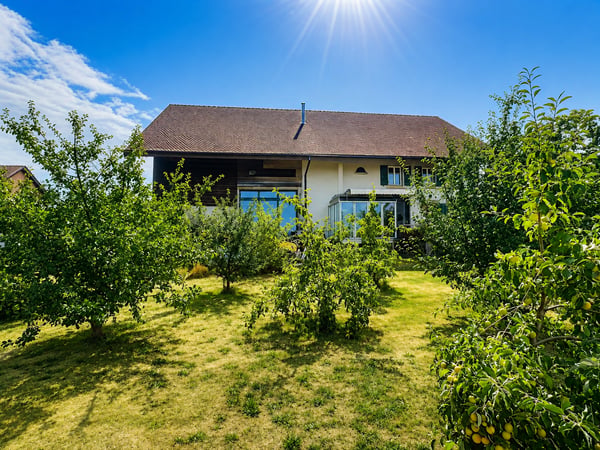 Grande maison en viager semi-occupé sans rente avec grand potentiel 4