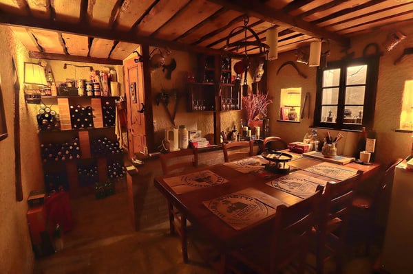 Magnifique appartement en viager occupé sans rente. 10