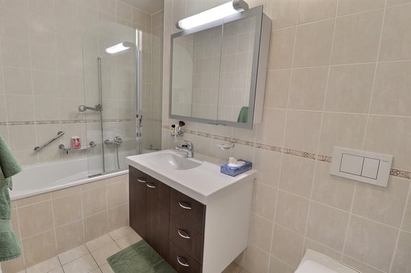 Magnifique appartement en viager occupé sans rente 9