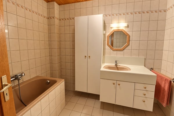 Jolie maison de village en viager occupé sans rente 10
