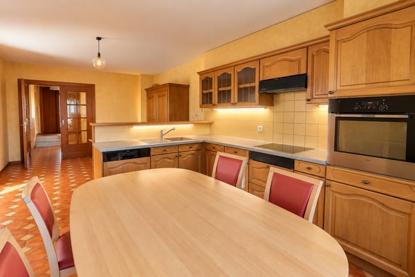 Jolie maison de village en viager occupé sans rente 4