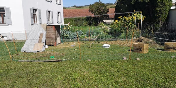 Appartement de 1.5 pièces avec jardin et place de parc 5