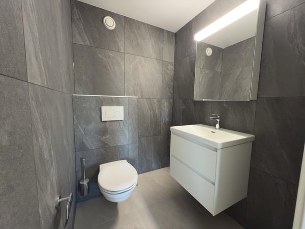 Appartement 4.5 pièces entièrement rénové à Fétigny 8
