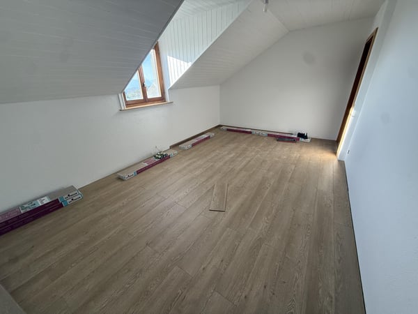 Magnifique appartement 5.5 pièces entièrement rénové avec vue dégagée 4