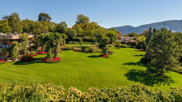 En exclusivité - Ensemble immobilier dans un écrin de verdure 3