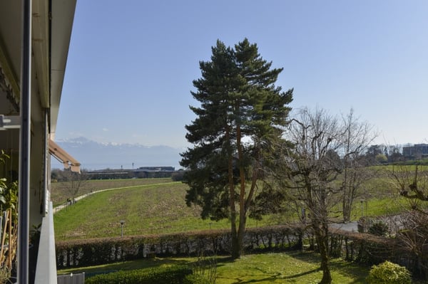 Charmant et spacieux appartement de 3.5 pièces avec balcon/loggia et place de parc 4