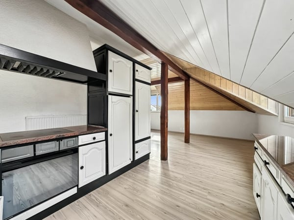 IL OCCUPE TOUTE LA TOITURE DE L'IMMEUBLE ?VOTRE COCON SOUS LES TOITS FACE À LA THIELLE 7
