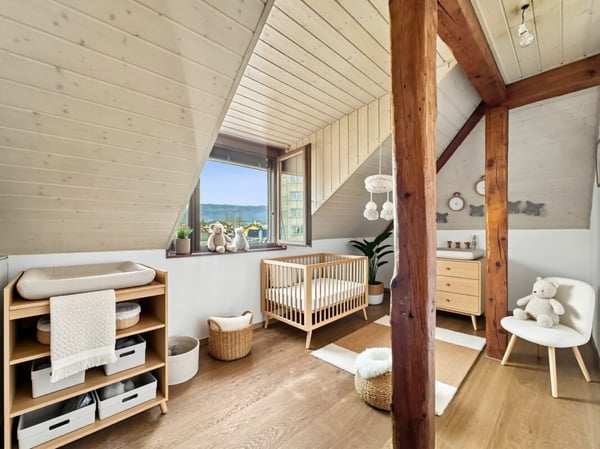 IL OCCUPE TOUTE LA TOITURE DE L'IMMEUBLE ?VOTRE COCON SOUS LES TOITS FACE À LA THIELLE 13