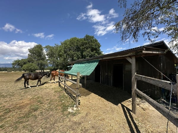 PROPRIETE ATYPIQUE SUR PLUS DE 6'000 M2 EN COURS DE RÉNOVATION, NON SOUMISE A LA LDFR 16