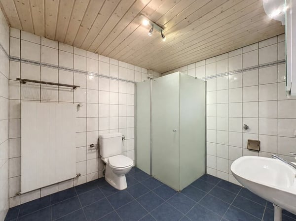 MAISON VILLAGEOISE MITOYENNE DE 2 APPARTEMENTS 19