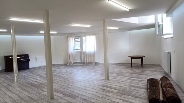 Volumineux espace subdivisible pour y vivre et y travailler 4