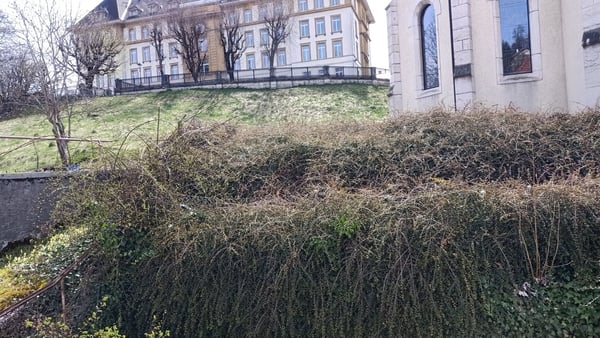 Jolie maison à rénover / transformer avec potentiel constructif additionnel 16