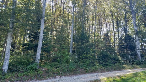 Chalet de 4,5 pièces – Un havre de paix aux portes de Bienne 2