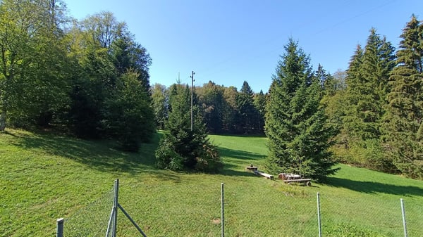 Chalet de 4,5 pièces – Un havre de paix aux portes de Bienne 4