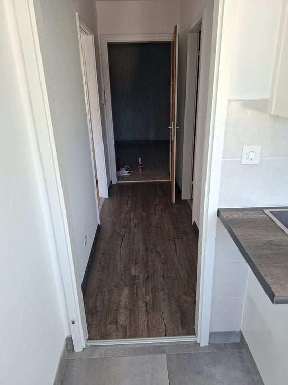 Appartement de 2 pièces à louer à Bienne 3