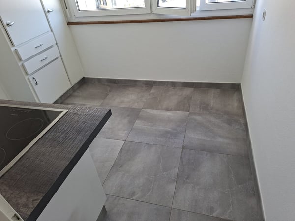 Appartement de 2 pièces à louer à Bienne 2