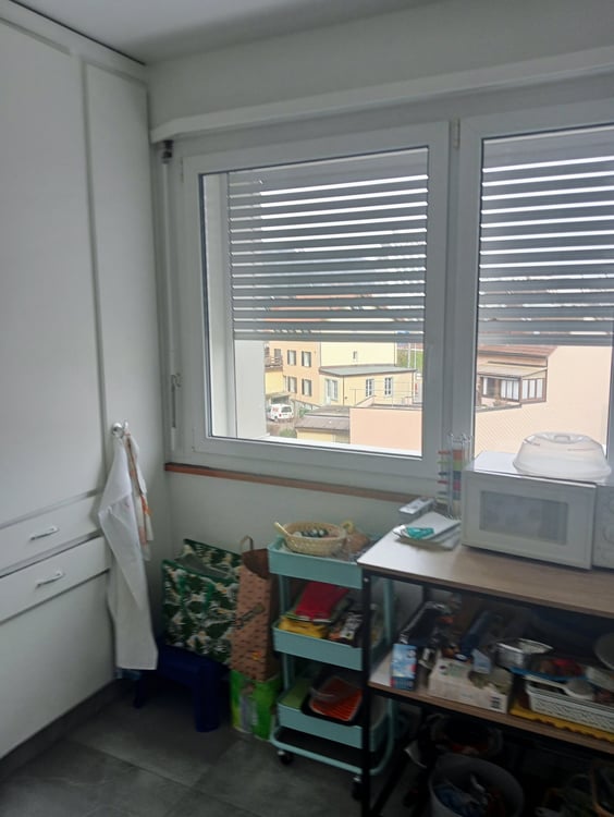 Appartement de 2 pièces à louer à Bienne 5
