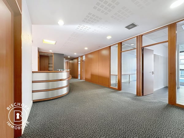 Moderne Bürofläche im Herzen von Saint-Louis 1