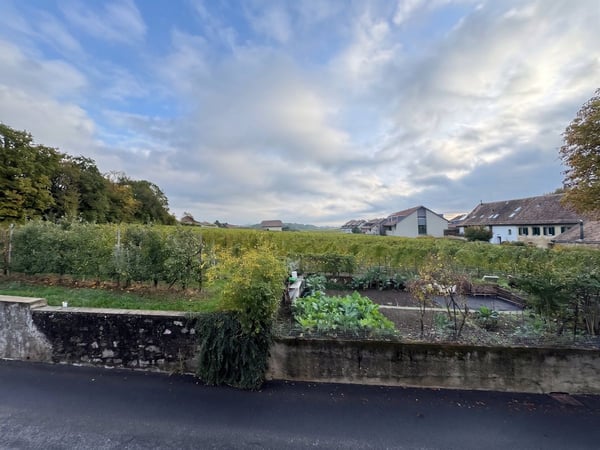 Etoy - Bel appartement de 2,5 pièces de 65 m2 avec vue sur les vignes 9