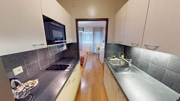 Modern Fully Furnished Studio near University of Geneva & HUG 3