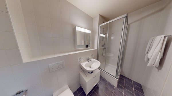 Modern Fully Furnished Studio near University of Geneva & HUG 10