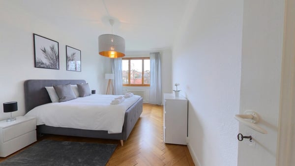 Furnished apartment - 1 bedroom / Appartement meublé 1 chambre -  in the center of Geneva 2