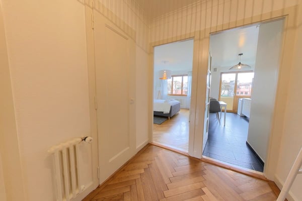 Furnished apartment - 1 bedroom / Appartement meublé 1 chambre -  in the center of Geneva 4