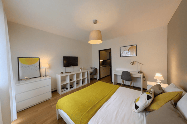 Modern Fully Furnished Studio near University of Geneva & HUG - Plainpalais, Geneva 2