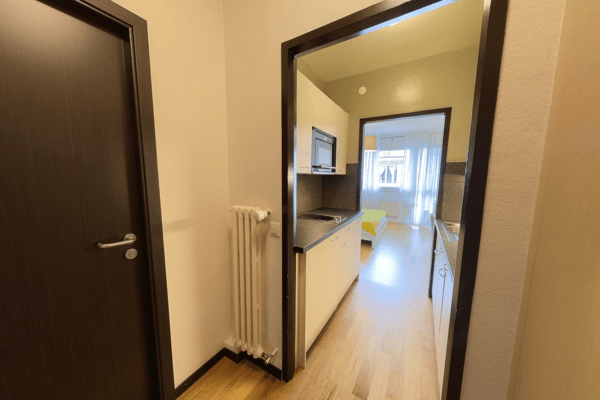 Modern Fully Furnished Studio near University of Geneva & HUG - Plainpalais, Geneva 4