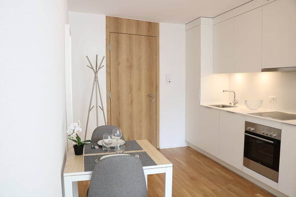 Charmant studio dans immeuble neuf, 20 min de la gare - Light and modern studio, central Lausanne 4