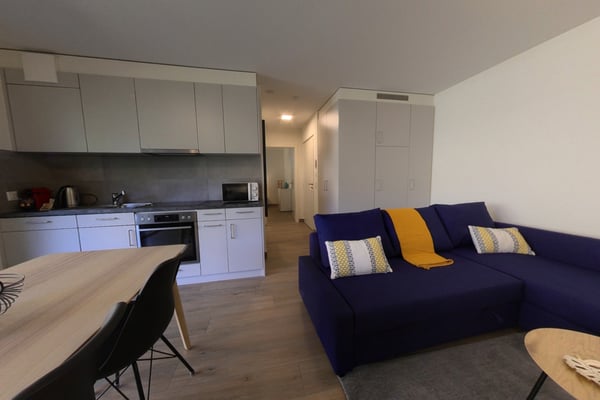 Bright 1 bedroom apartment with terrasse and parking lot, close to green spaces 2