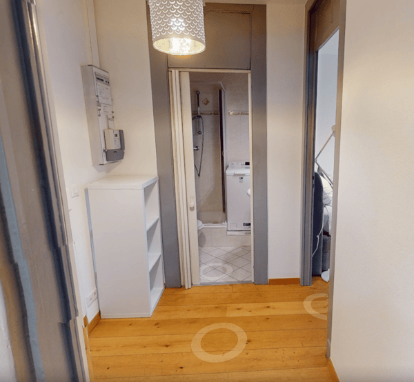 Comfortable Studio in Eaux-Vives | Washer, WiFi & Great Transport Links 12