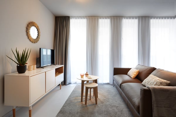 Studio meublé Standard /Furnished studio Standard Nyon 6