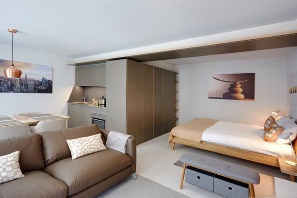 Studio meublé Standard /Furnished studio Standard Nyon 1