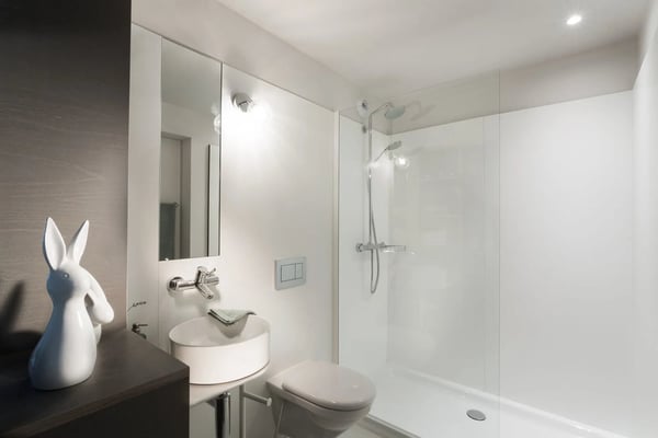 Furnished Premium studio with parking space available - Nyon 5