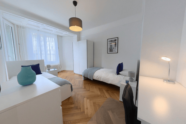 Appartement meublé de 1.5p à 5 minutes du lac 6