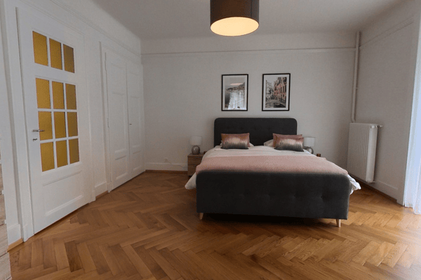 Modern 2-bed - central Lausanne - 10 min from train station 5