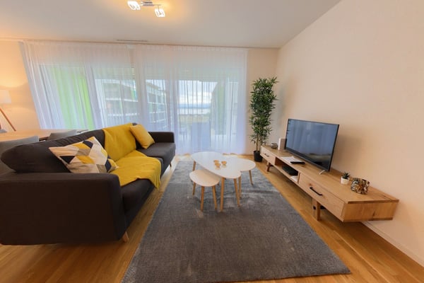 Spacieux et lumineux appartement avec vue sur le lac - Light and spacious 2 bed apartment 2