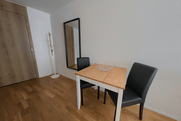 LIMITED OFFER! Bright & Modern studio - Central Lausanne - 20 mins walk to train station 6