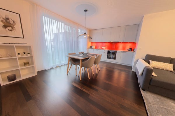 Magnifique 1.5 meublé à côté du lac 2