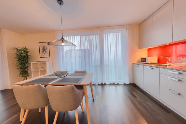 Magnifique 1.5 meublé à côté du lac 6