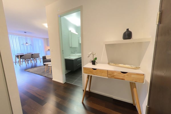 Magnifique 1.5 meublé à côté du lac 4