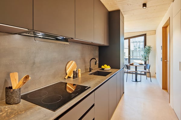 Exclusive Offer! Charming Duplex Apartment with Balcony in Lucerne 3