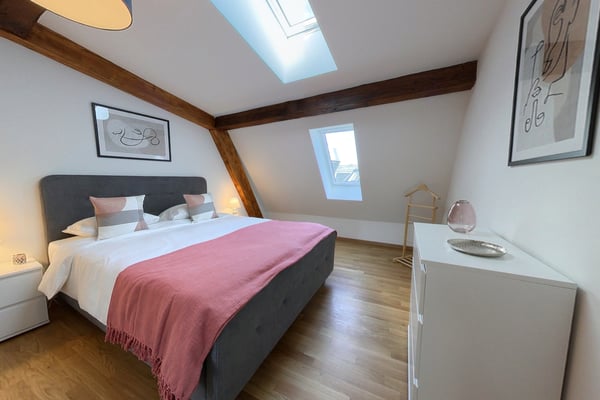 Rooftop spacious 2 Bedroom Apt with Balcony - Lausanne 5