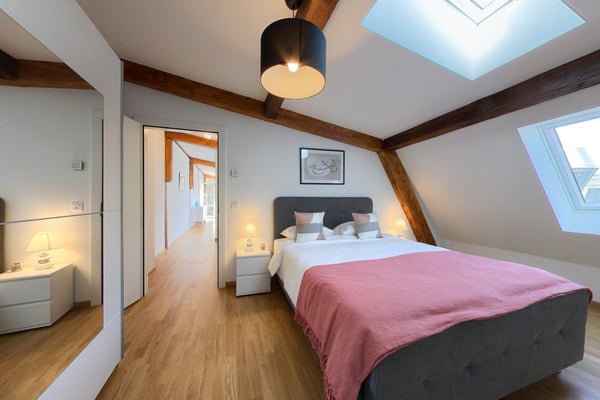 Rooftop spacious 2 Bedroom Apt with Balcony - Lausanne 6