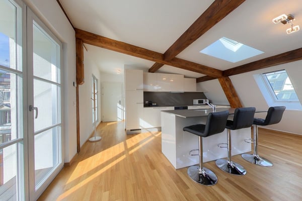 Rooftop spacious 2 Bedroom Apt with Balcony - Lausanne 1