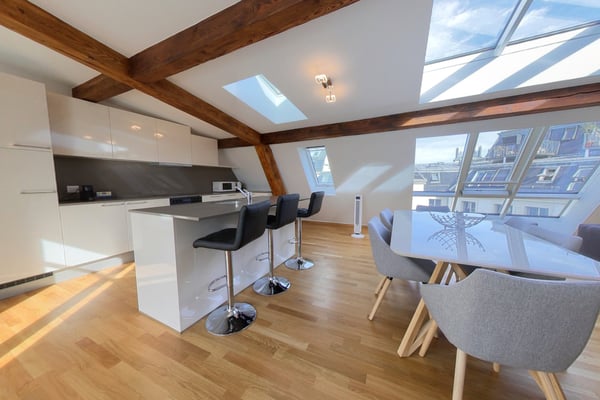 Rooftop spacious 2 Bedroom Apt with Balcony - Lausanne 2